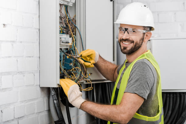 Best Electrical System Inspection  in Arbury Hls, IL