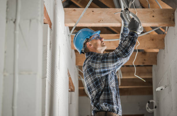 Best Licensed Electrician  in Arbury Hls, IL