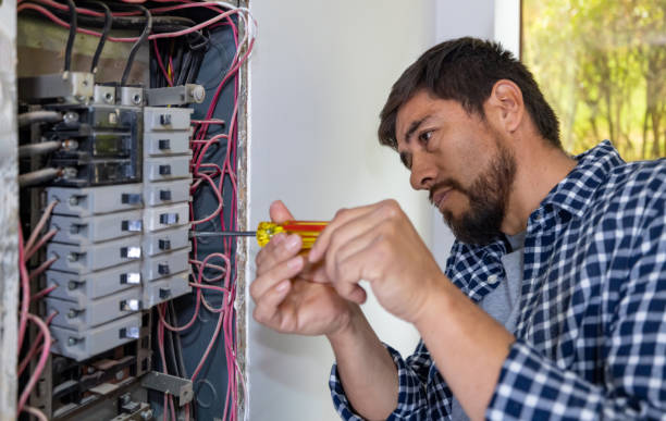 Best Electrical Repair Services  in Arbury Hls, IL